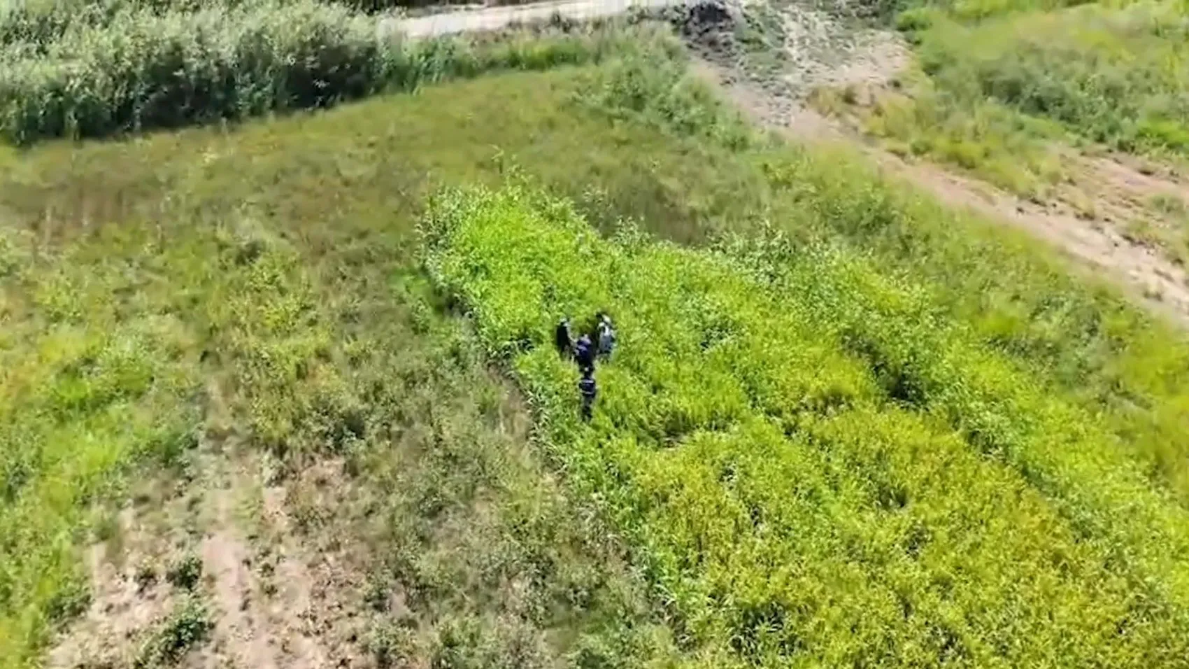 Jandarma dronla havadan iz sürdü: Mısır tarlasında kıskıvrak yakalandılar