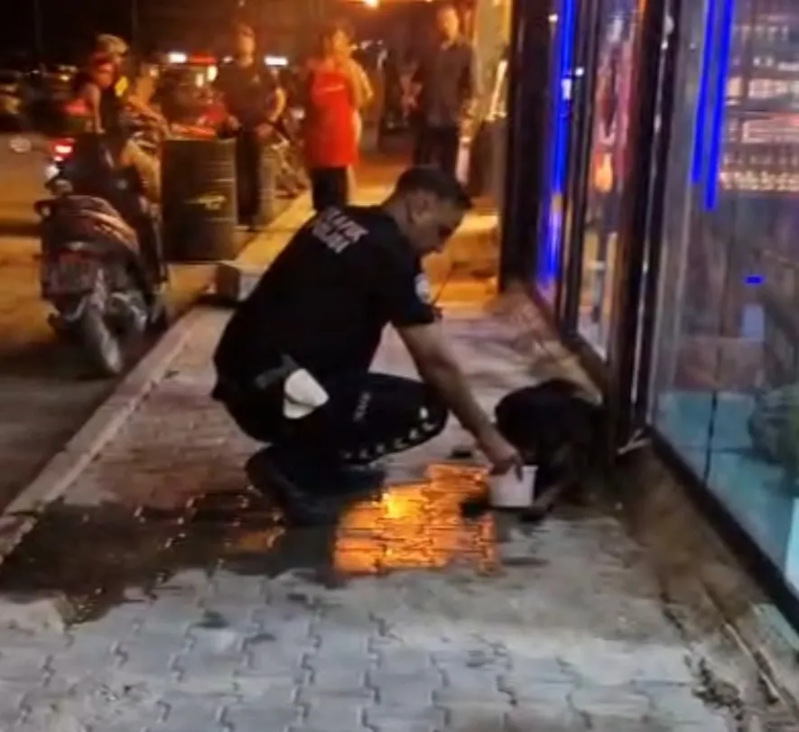 Samandağ'da vicdansız saldırı: Yaralı köpeği vuran şüpheli yakalandı