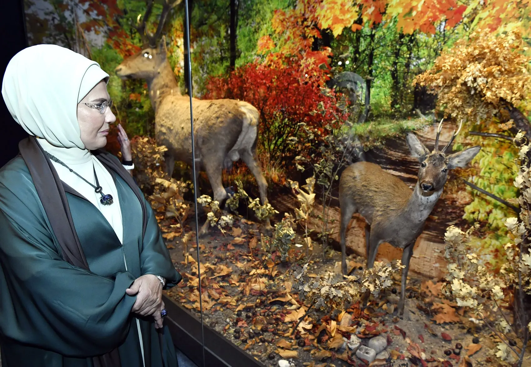 Anadolu'nun kadim tohumları Ankara'da hayat buldu: Emine Erdoğan'dan özel ziyaret