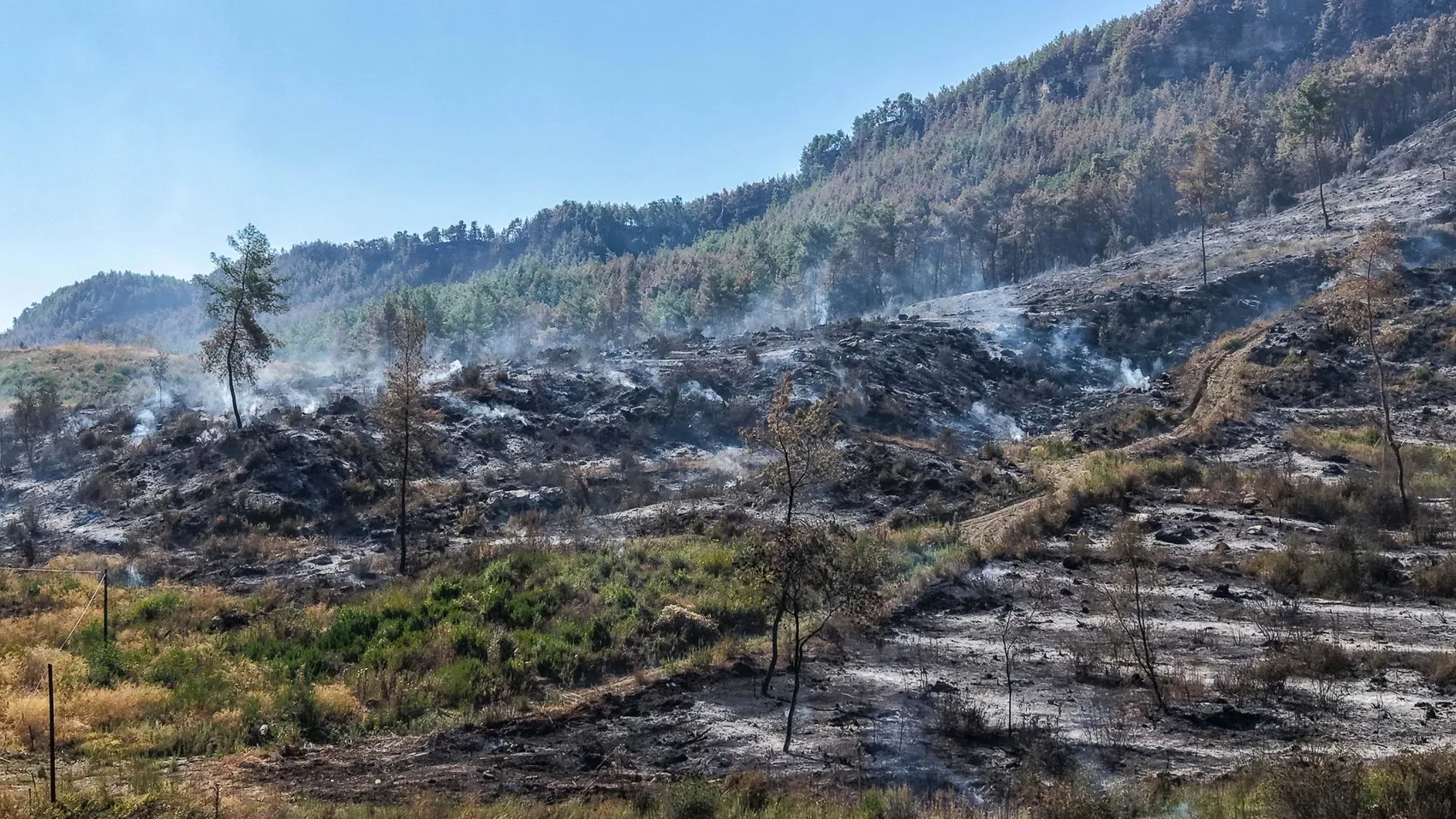 Antalya'da üç ilçeyi birbirine katan kabus bitti: 67,5 saatlik mücadele zaferle sonuçlandı