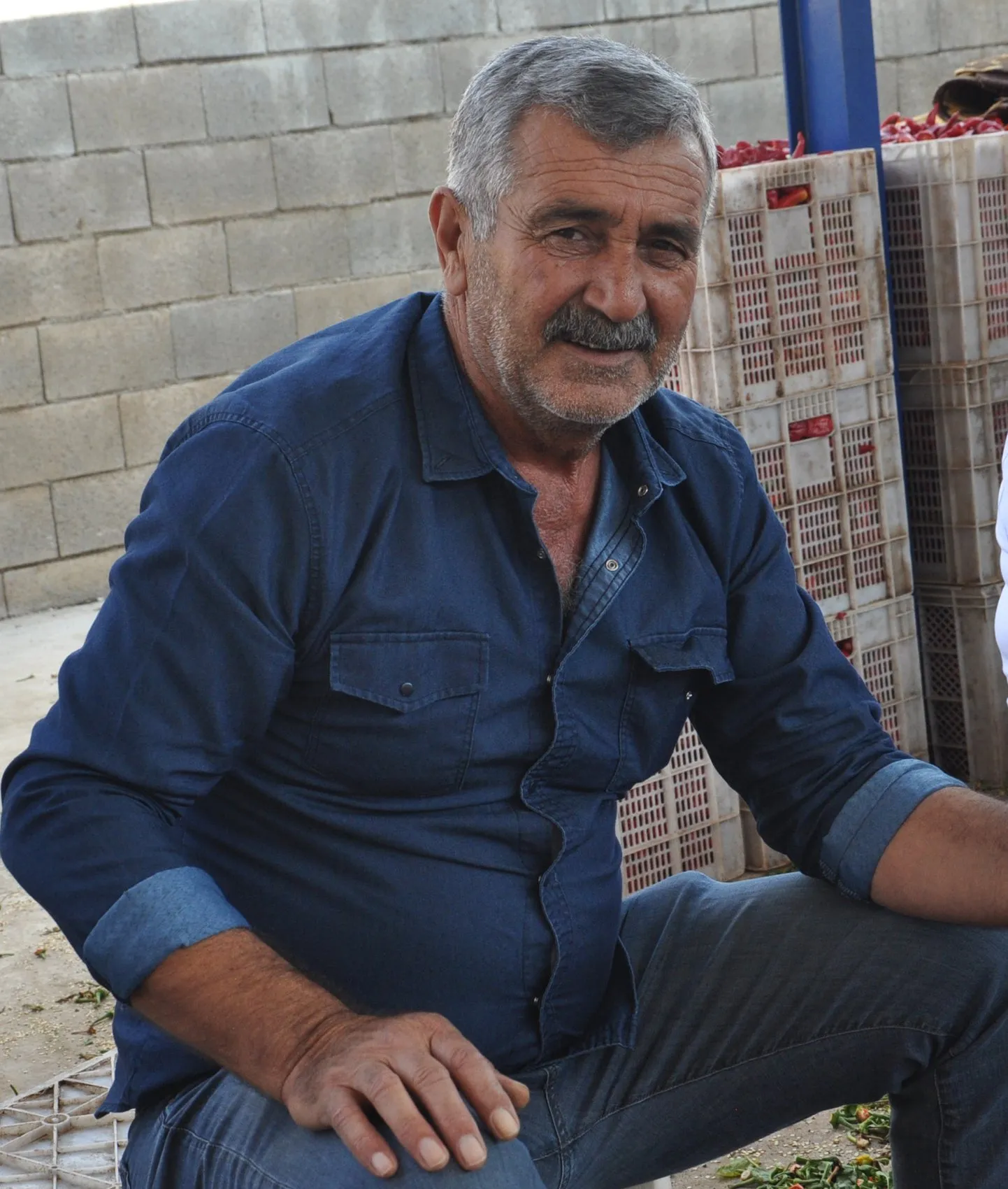 İslahiye'nin kırmızı altını tarlalardan sofralara uzanan zorlu yolculuğuna başladı