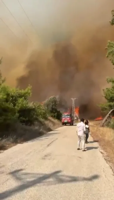 Adana'da orman yangını alarmı: Karaisalı'dan dumanlar yükseliyor
