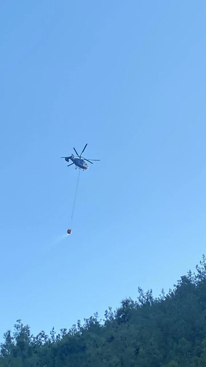 Hassa'da ormanlık alanda korkutan dumanlar: Ekipler zamanla yarıştı