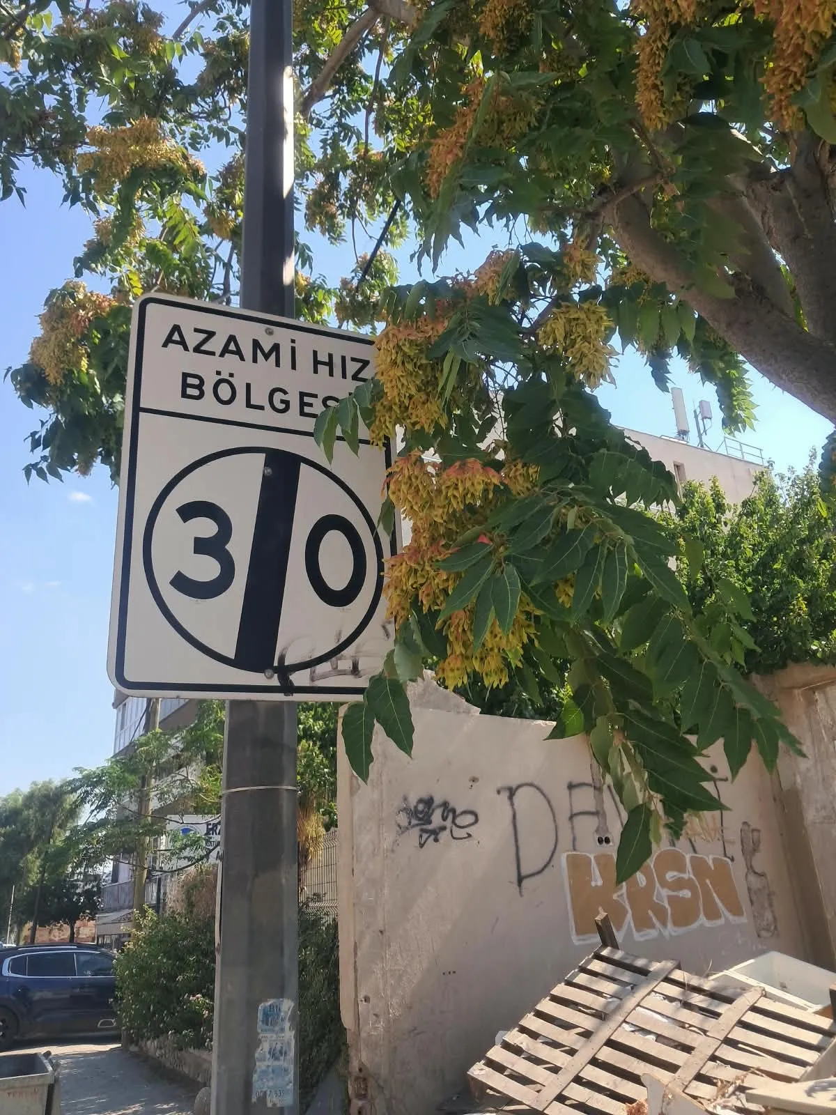 Yaya geçidinde can pazarı: Üniversiteli Serra’nın kaza raporu isyanı