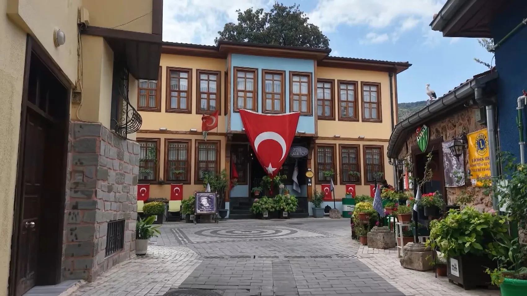 Sanat Güneşi'nin ilham kaynağına vefa: 300 yıllık ağacın gölgesinde yaşayan hatıralar