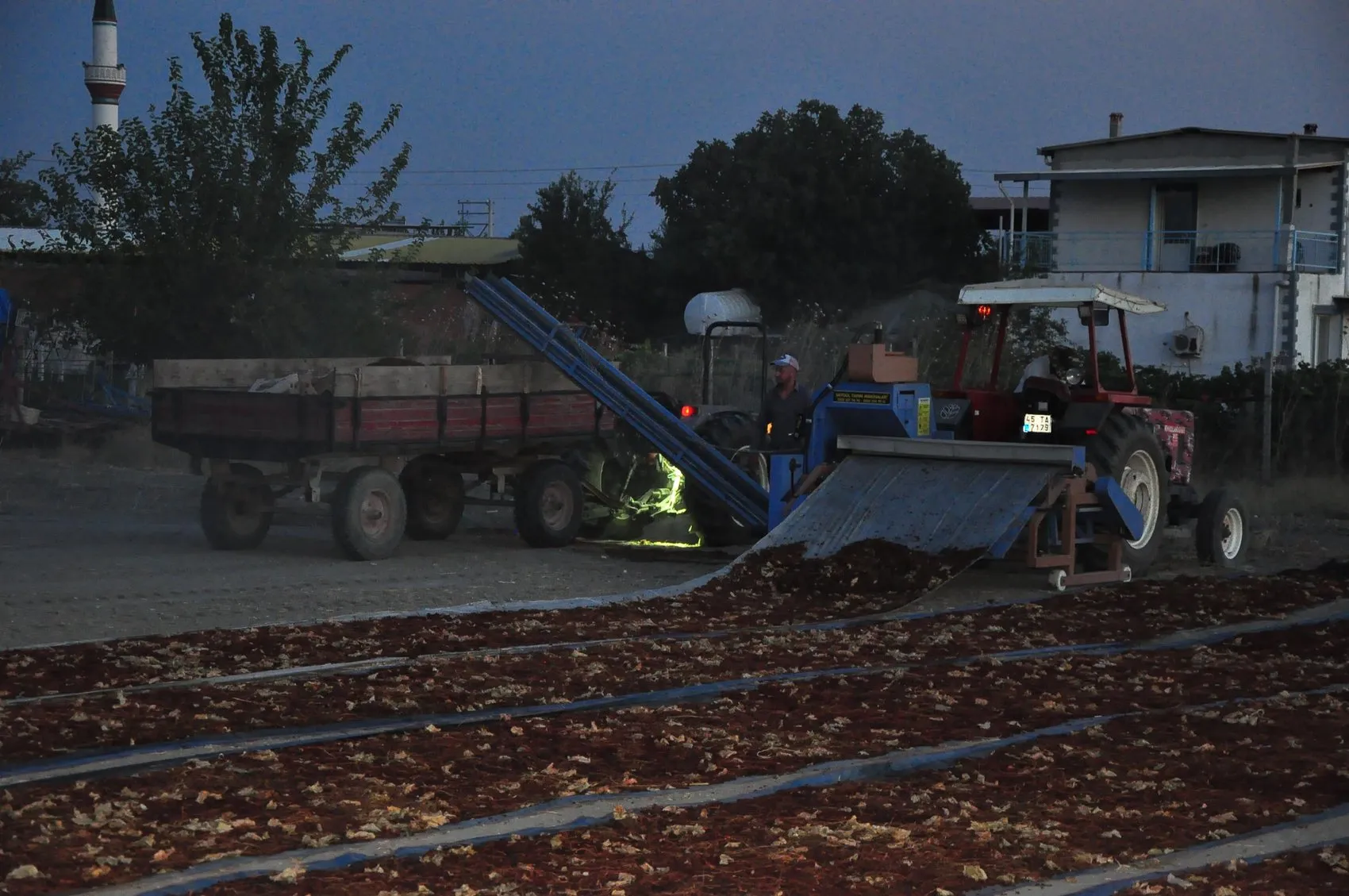 Manisa Ovası'nda tüfekli nöbet: Bir yıllık emeği korumak için geceyi tarlada geçiriyorlar