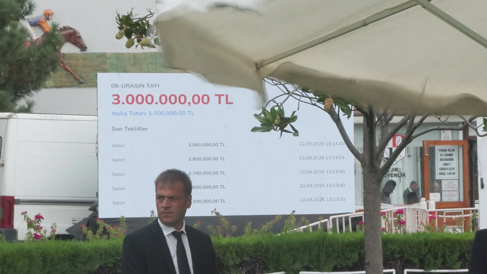 Veliefendi'de milyonluk rekabet: Safkan Arap tayları için kesenin ağzı açıldı