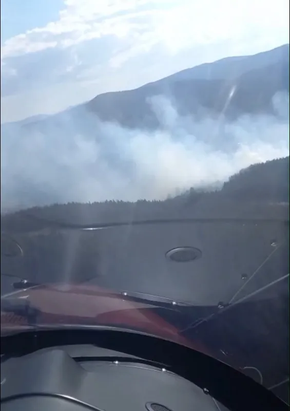 Gerede'de korkutan anız yangını ormanlık alana sıçradı