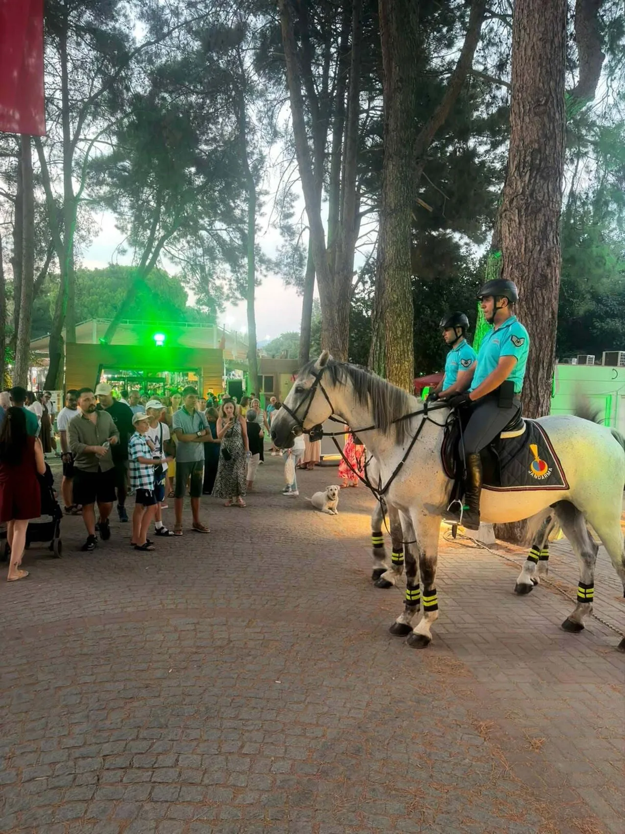 İzmir'in zorlu arazilerinde atlı jandarma devriyesi: Suçlulara geçit yok
