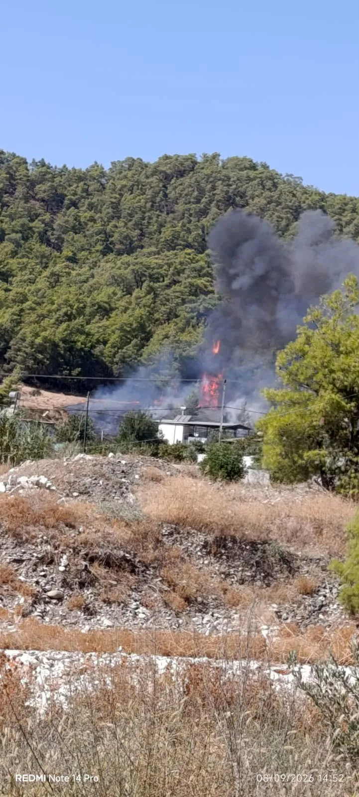 Kumluca'da alevlerle yaşam mücadelesi: Keçilerini kurtarmak için canını dişine taktı