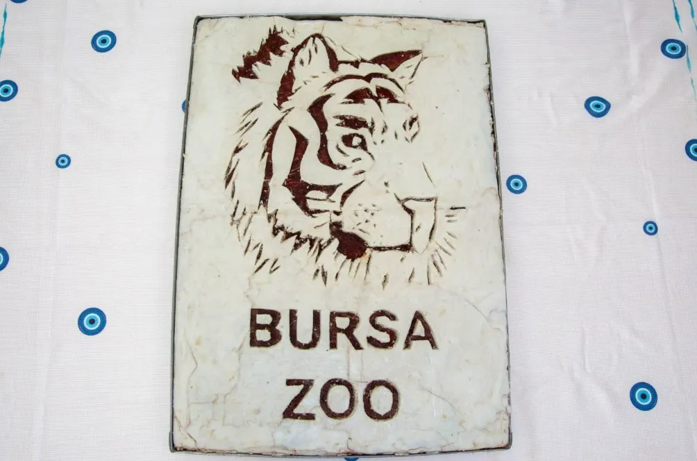 Bursa'nın minik misafiri Virginia 100 günlük oldu: Zorlu süreci geride bıraktı