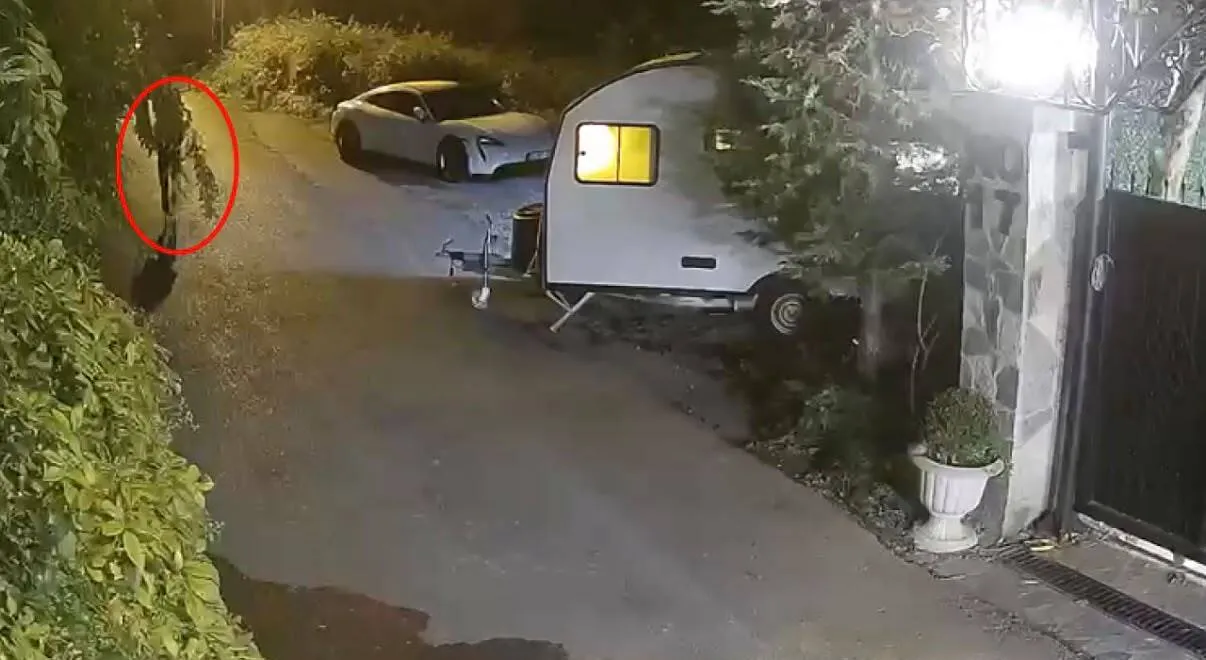 Beykoz'daki silahlı saldırının altından çalıntı motosiklet çıktı