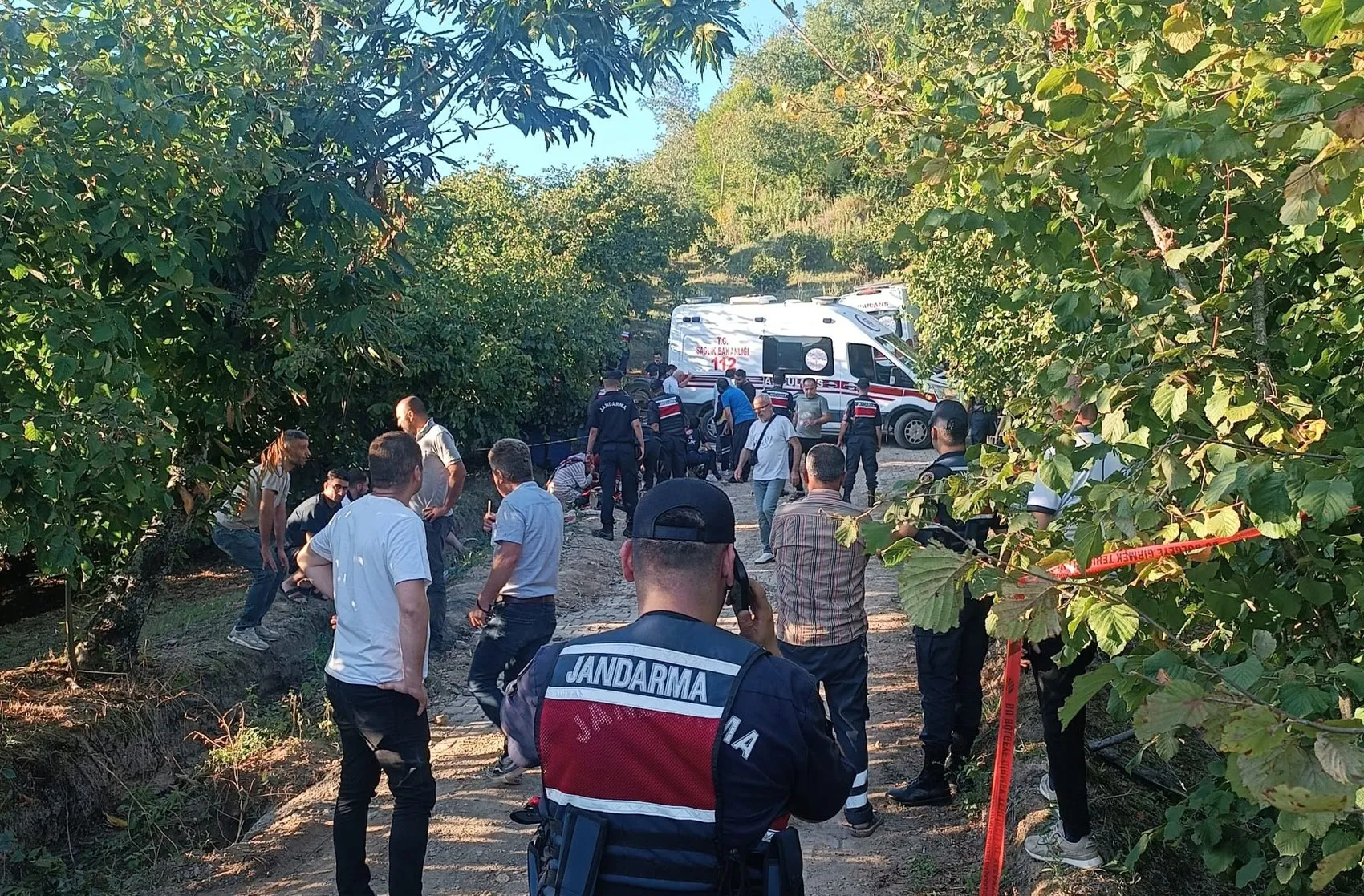 Sakarya'da fındık hasadı yolunda korkunç kaza: 18 işçi yaralandı