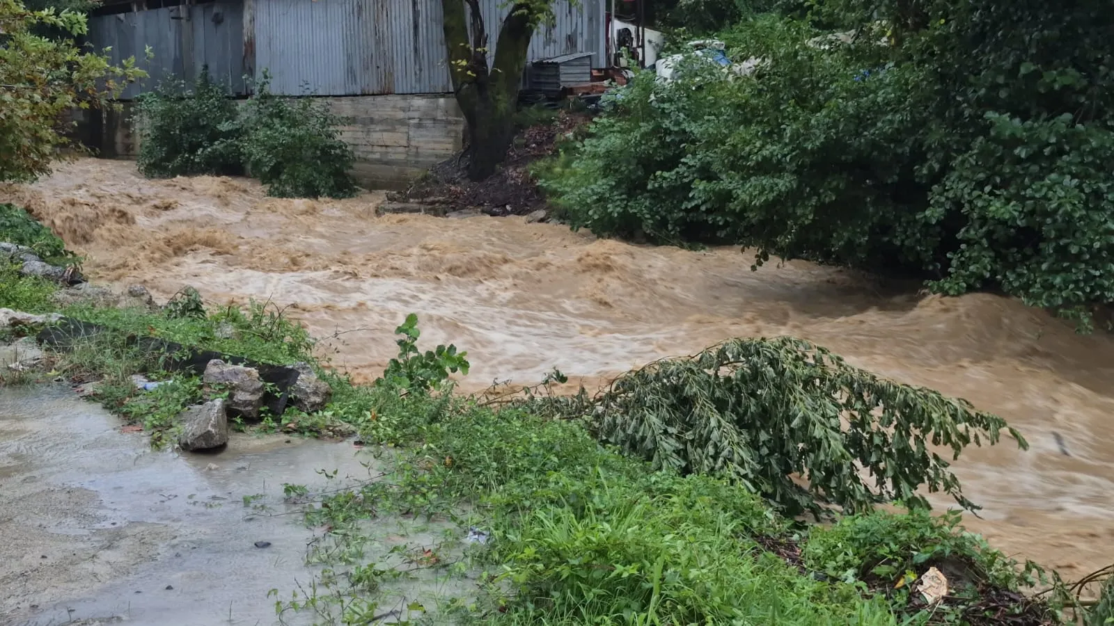 Zonguldak'ta sağanak kabusu: Sanayi sitesi sular altında kaldı