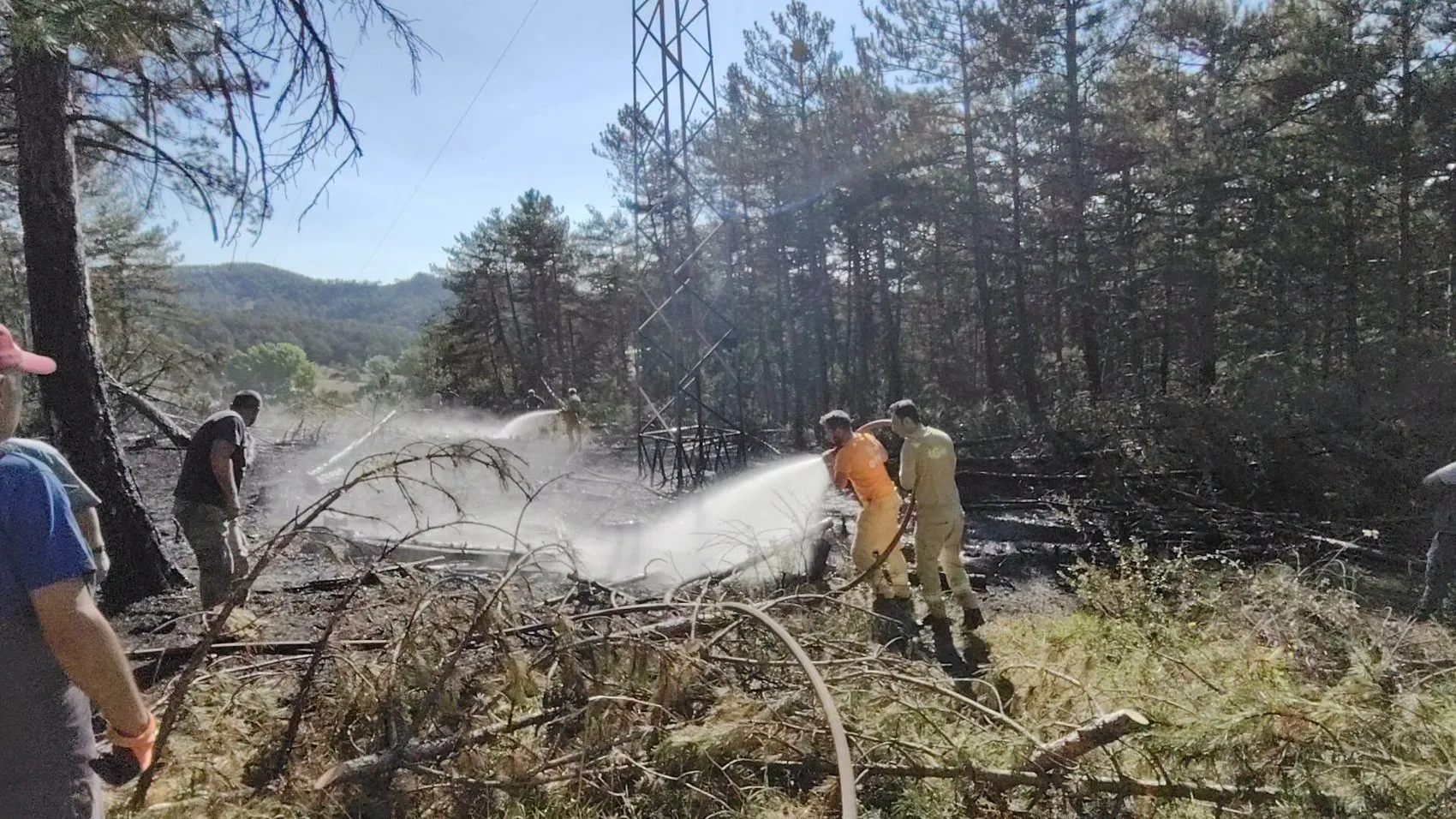 Küçük bir kuşun trajik sonu ormanı küle çeviriyordu