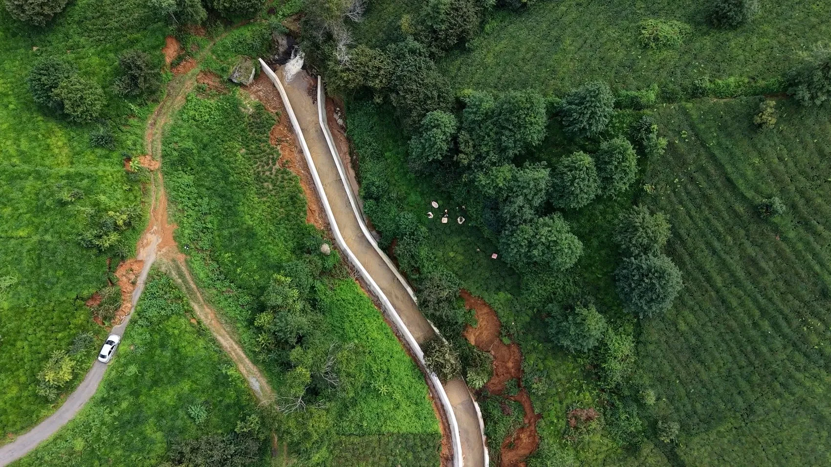 Doğa felaketine meydan okuyan Rize: Çamur deryasında çay hasadı