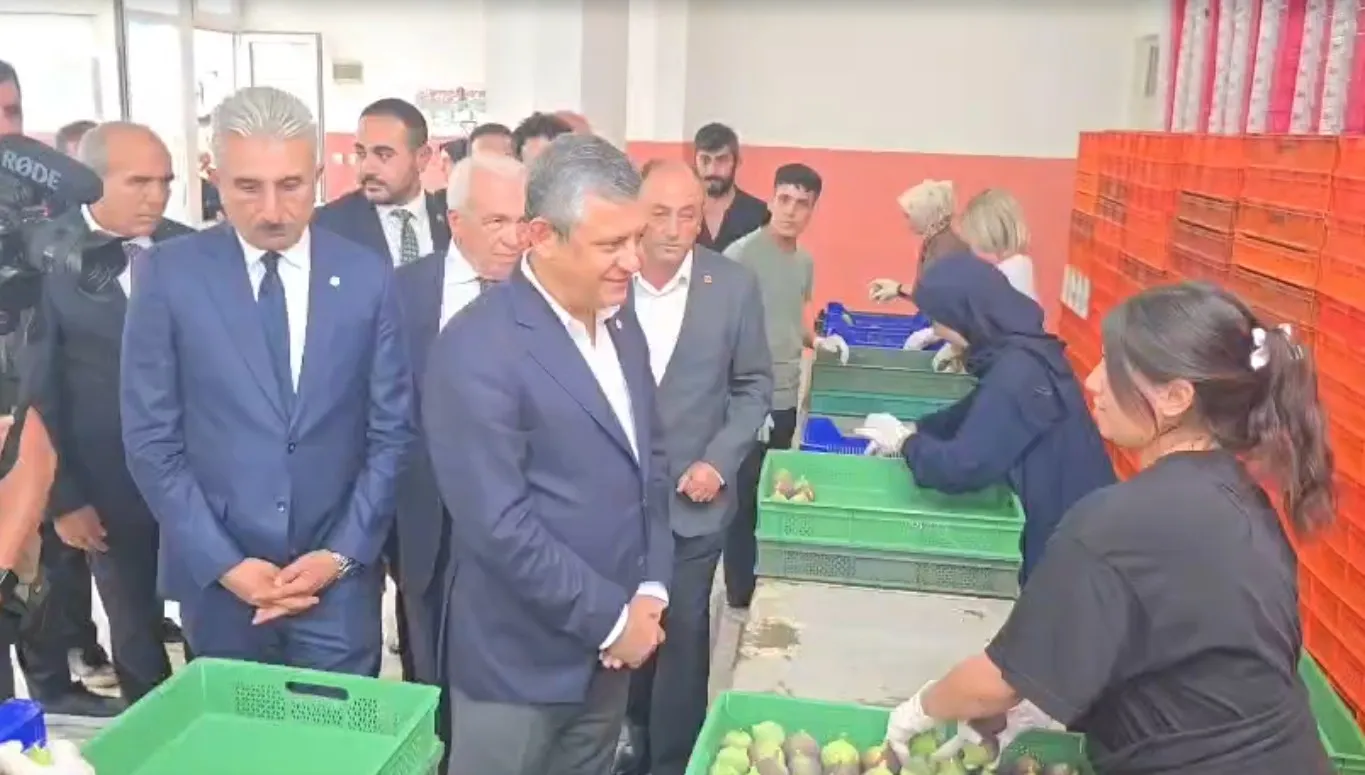 Prens Charles incir yemeyecek mi? Özgür Özel'den üreticiyi ayağa kaldıracak kooperatif çağrısı