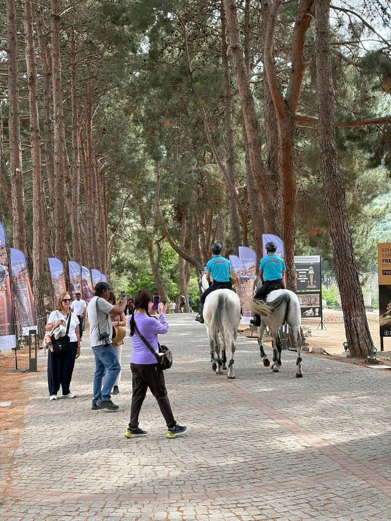 İzmir'in zorlu arazilerinde atlı jandarma devriyesi: Suçlulara geçit yok
