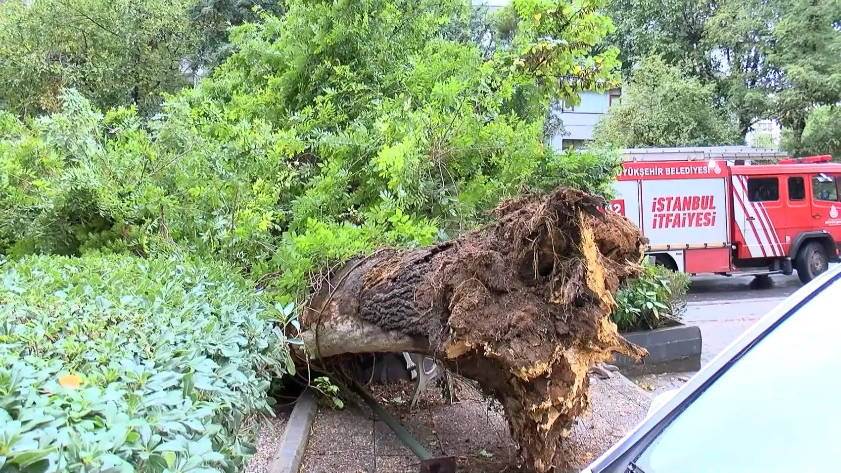 Kadıköy'de sabah saatlerinde korkutan manzara: Park halindeki araç hurdaya döndü
