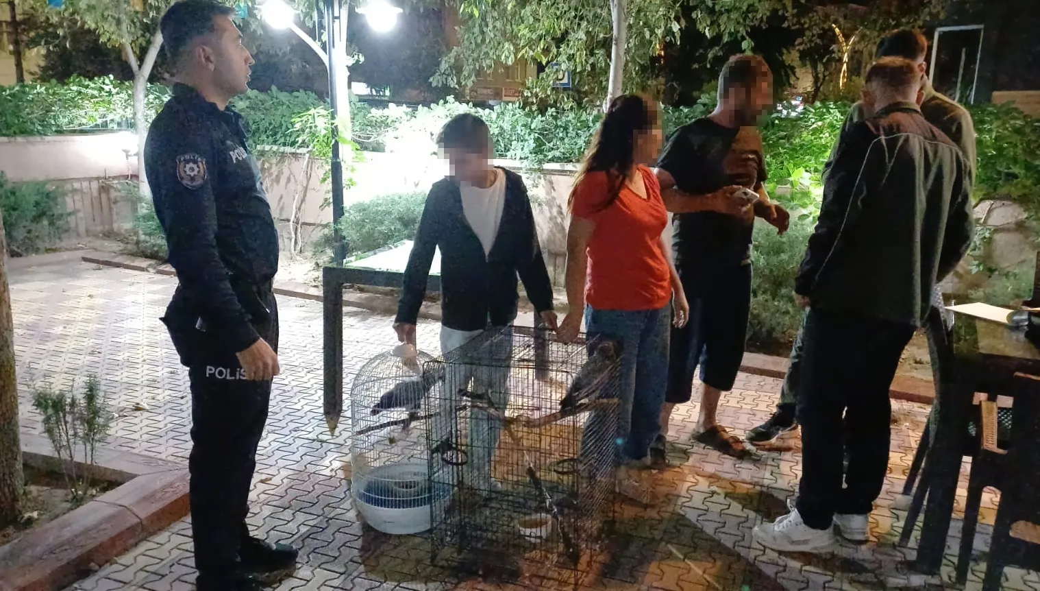 Sosyal medyadan papağan pazarlığına ağır fatura: Otel odasında suçüstü yakalandı