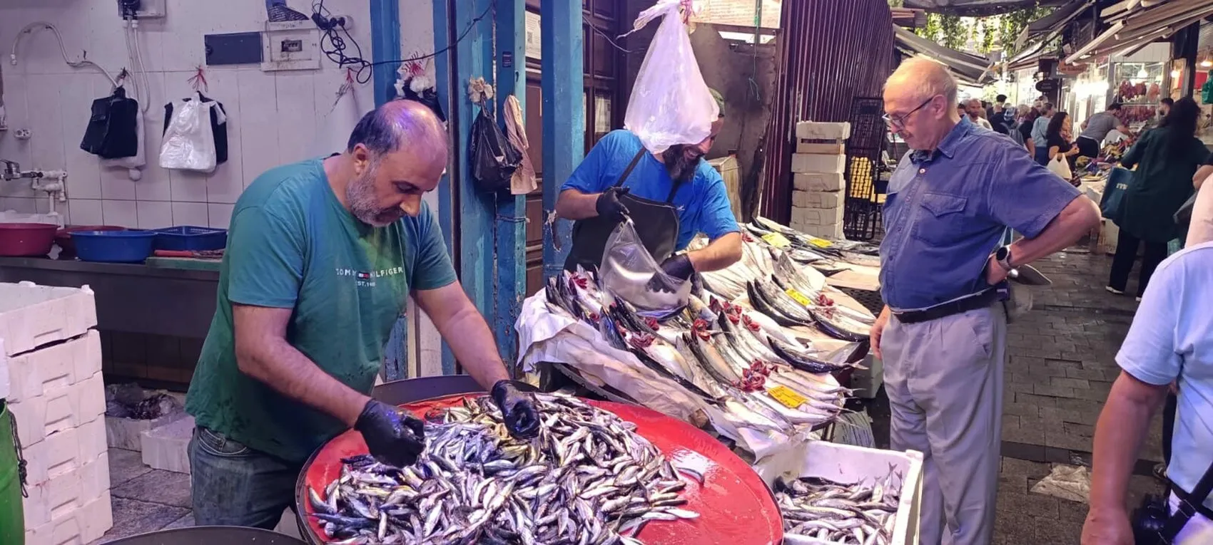 İzmir tezgahlarında yüz güldüren bolluk: Balık fiyatları dibi gördü