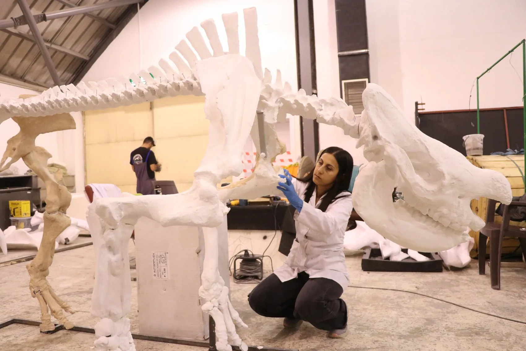 Milyonlarca yıl öncesinin devleri Kayseri'de yeniden hayat buluyor: 3D teknolojisiyle ayağa kaldırıldılar
