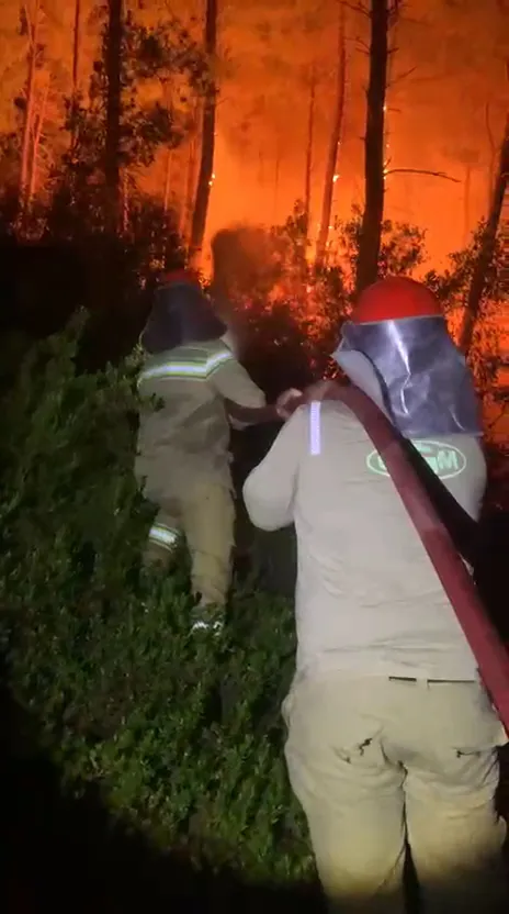 Serik'te orman alarmı: Alevlerin şiddeti kırıldı, ekipler teyakkuzda