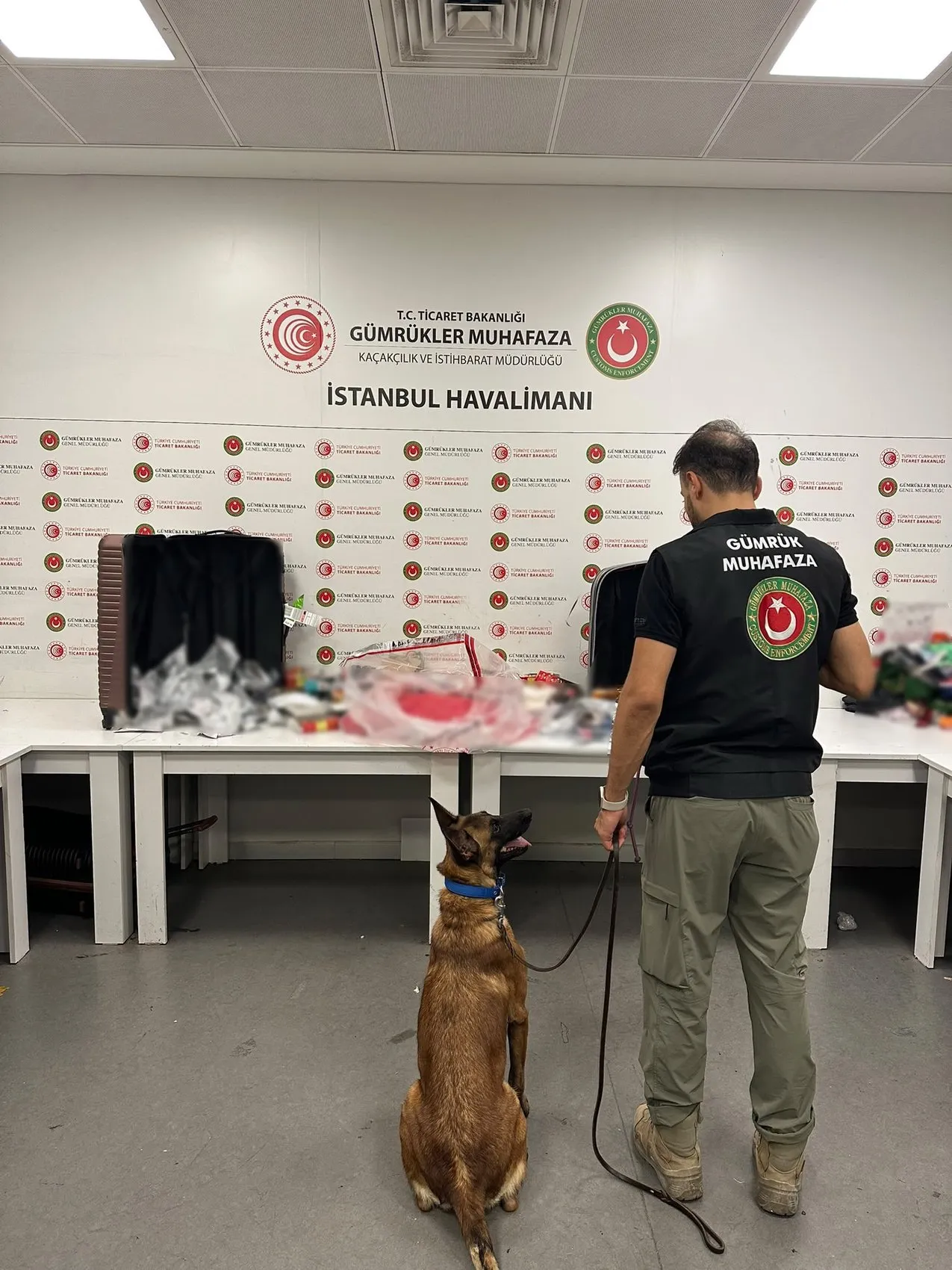 Bangkok çıkışlı valizlerdeki gizli tehlikeyi dedektör köpekler yakaladı
