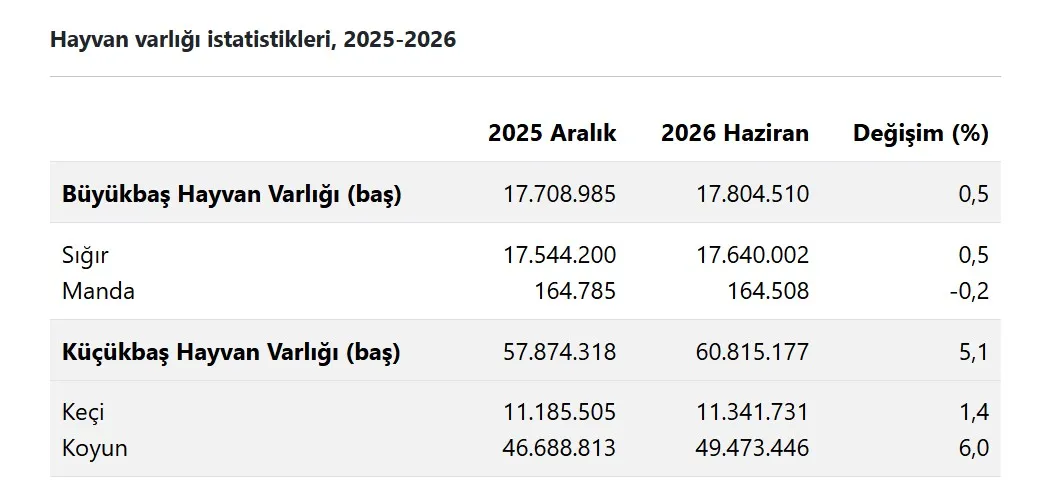 Hayvancılık sektöründe dikkat çeken tablo: Küçükbaş hayvan sayısında büyük yükseliş