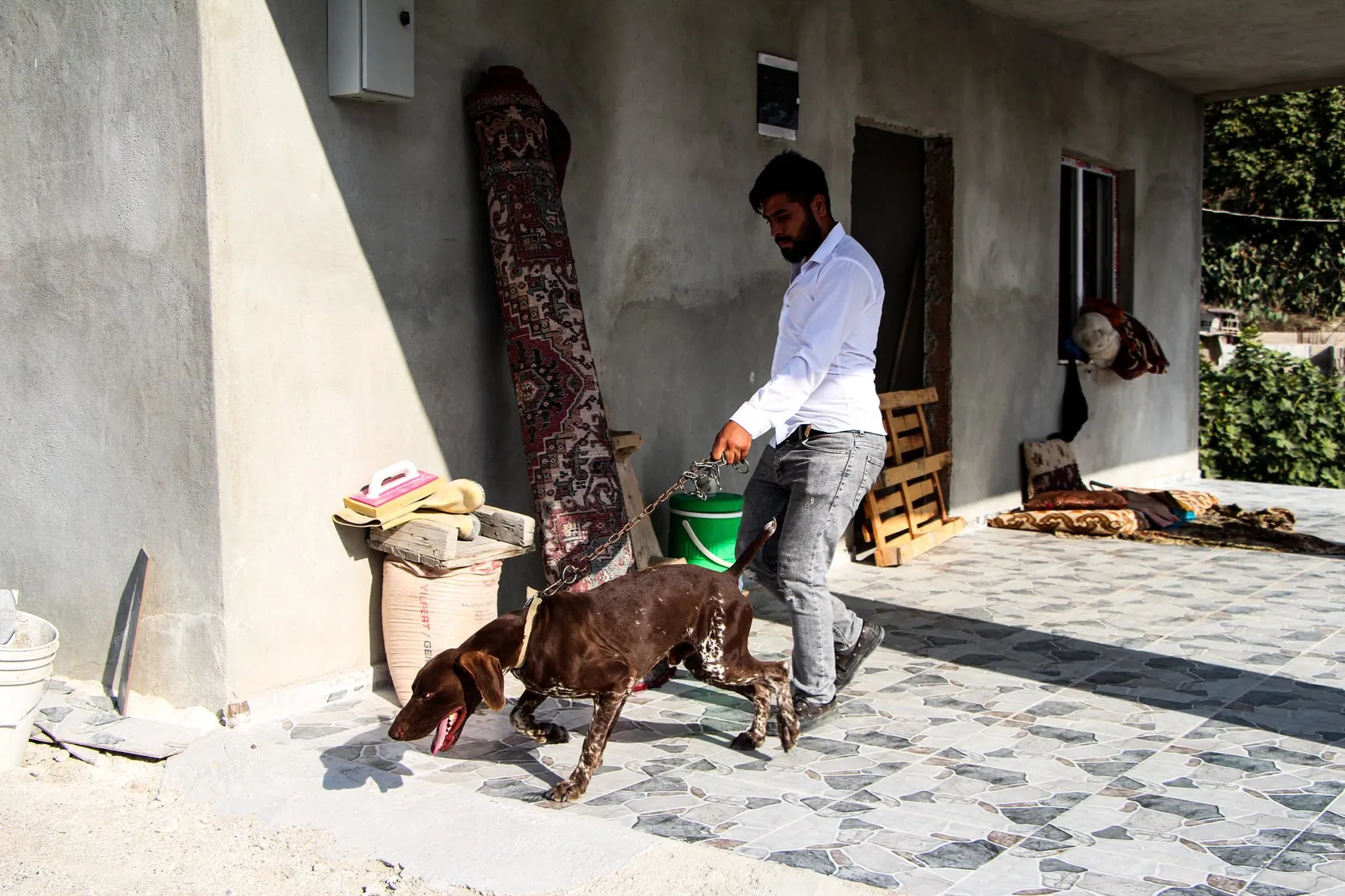 Adana'da komşu dehşeti: İnşaatta uyuyan köpeğe sopalı saldırı