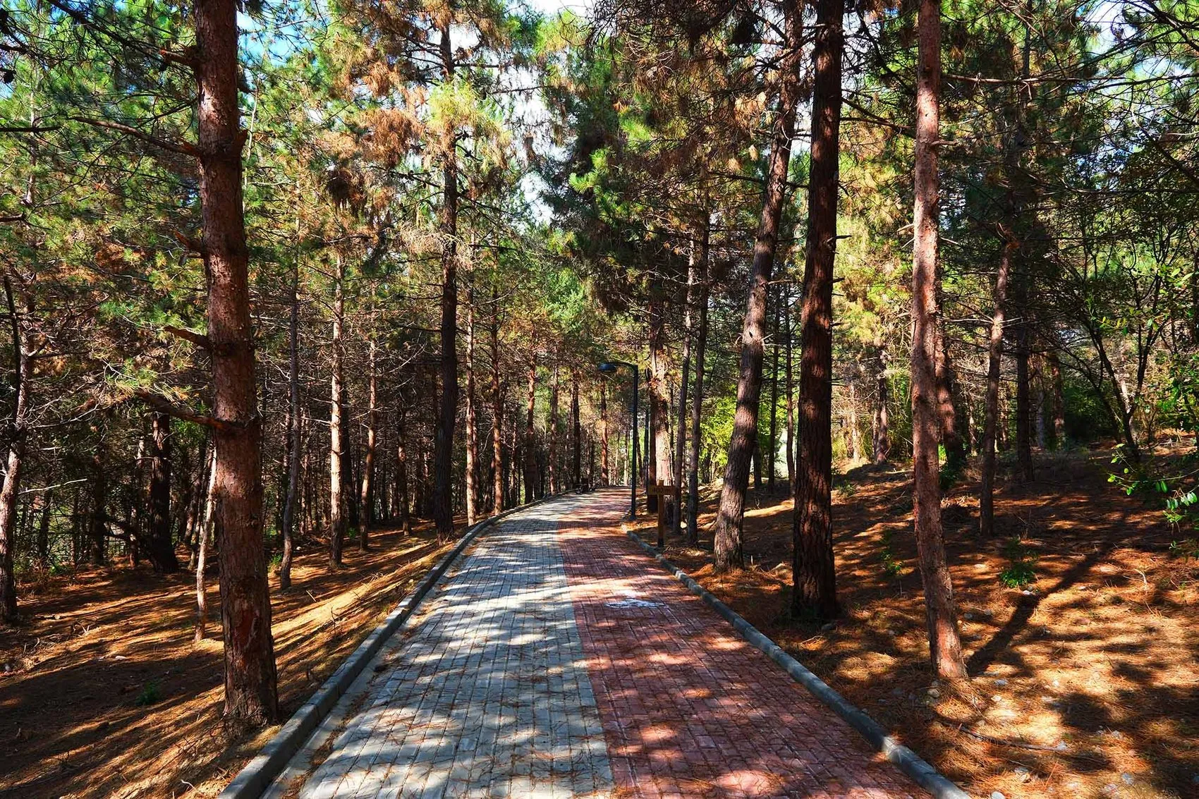 Sapanca Gölü'nde yeni dönem: Huzur Koridoru için geri sayım başladı