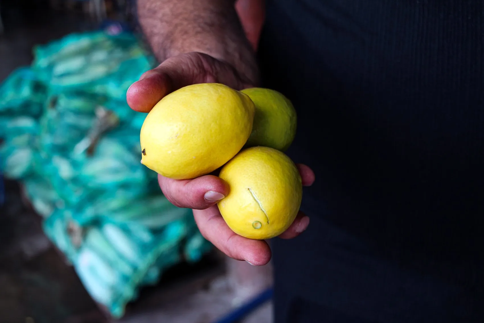 Çiftçinin 5 liraya sattığı limon markette 100 lirayı buldu: Hasat başladı ama yüzler gülmüyor