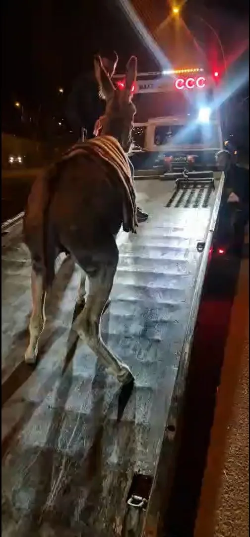 Başkent trafiğinde sıra dışı misafir: Çekiciyle otoparka çekildi
