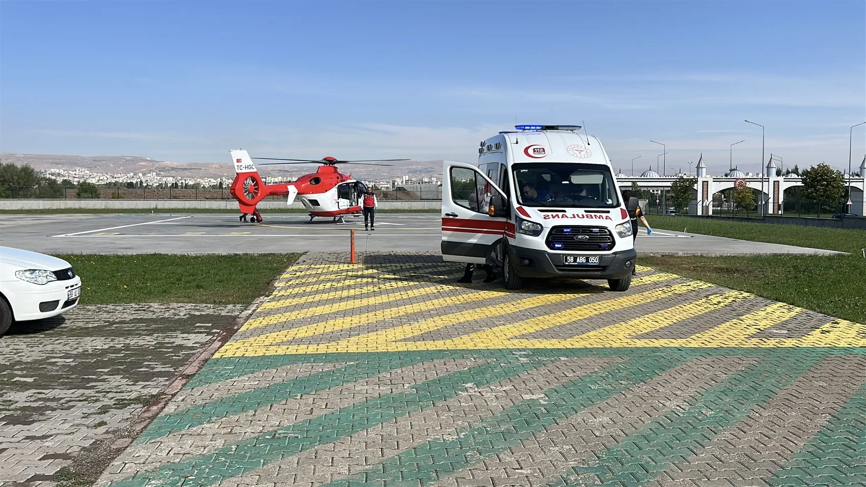 Sivas'ta dehşet anları: Yaylada otlayan hayvanların arasında ayı dehşeti yaşandı