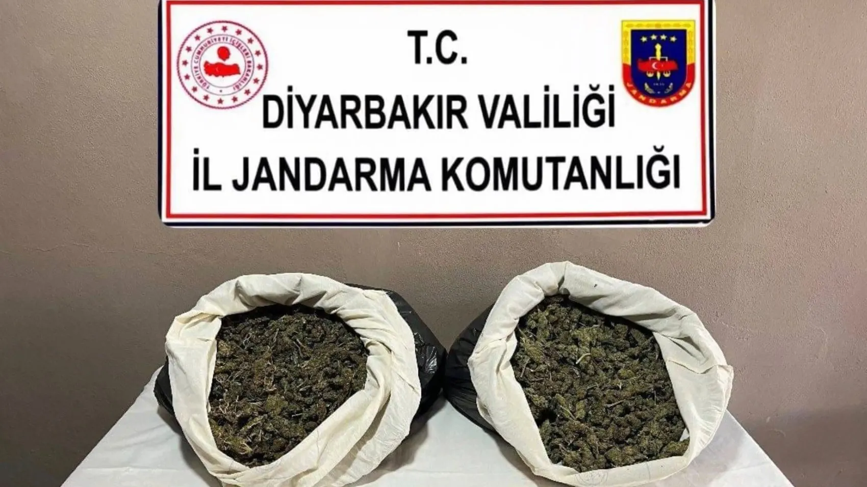 Diyarbakır kırsalında dev operasyon: Tonlarca esrara dönüşecek bitki imha edildi