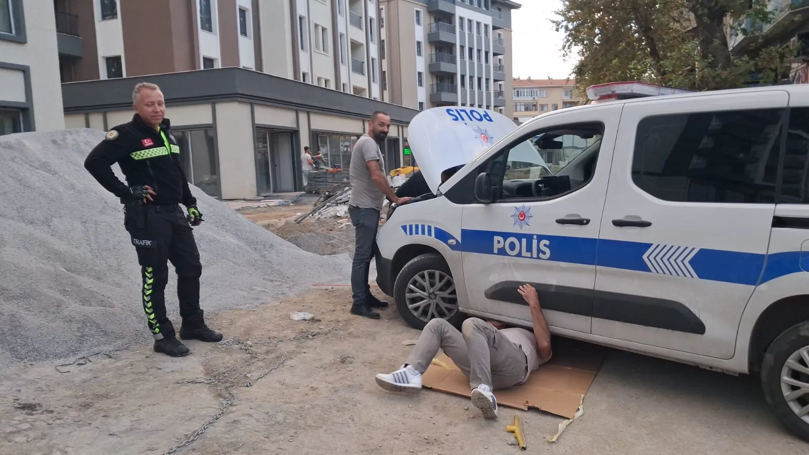Gölcük'te kedi kovalamacası: Polis aracından kaçtı, motor kaputuna sığındı