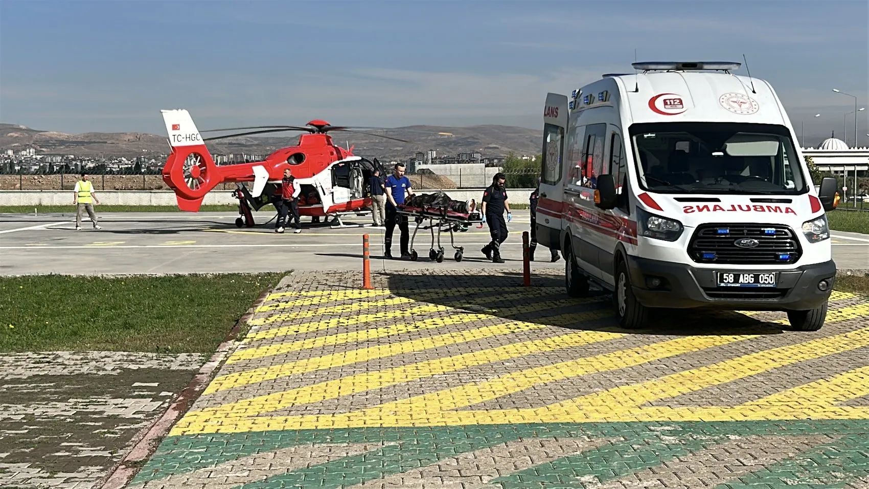 Sivas'ta dehşet anları: Yaylada otlayan hayvanların arasında ayı dehşeti yaşandı