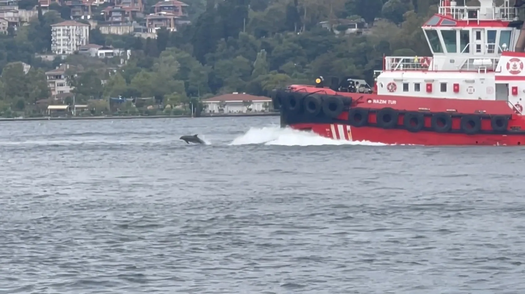 İstanbul Boğazı'nın sabah misafirleri: Kıyı Emniyeti gemisine eşlik ettiler
