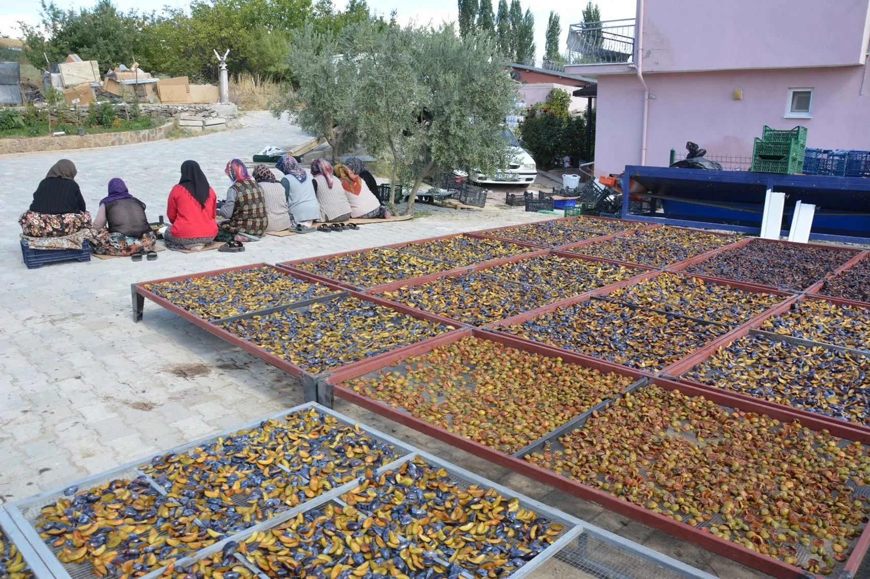 Manisa'nın 138 yıllık lezzet mirası: Figan-i Efendi eriği artık dünya sofralarında