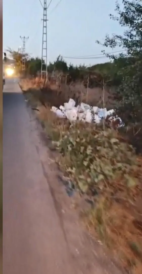 Arnavutköy'de vicdansızlık kamerada: Çayırlığa boşalttığı tonlarca bozuk balık başına dert oldu