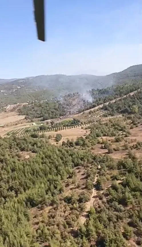 Bursa'da anız ateşi ormana sıçradı: Ekipler alevlerle mücadele ediyor