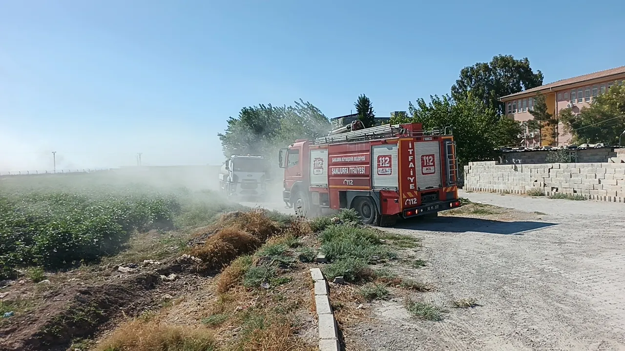 Sınır hattında korkutan alevler: Mayınlı bölgedeki yangın paniğe yol açtı