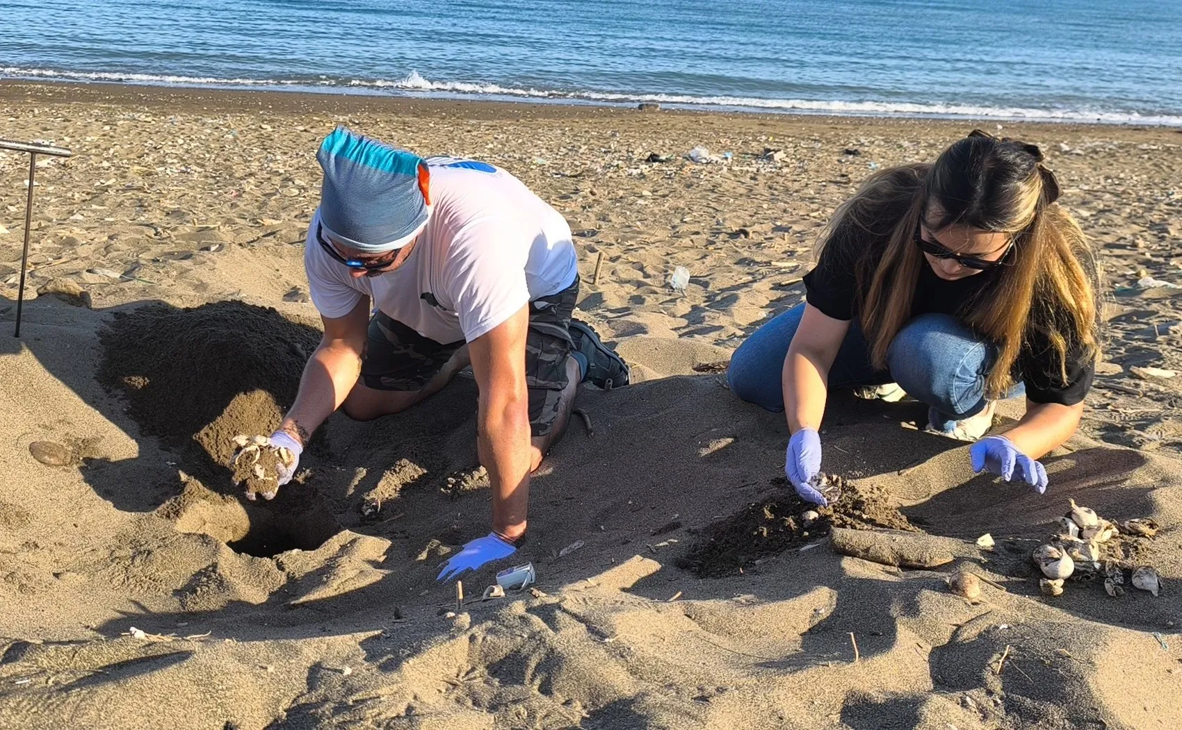 Akdeniz'in minik misafirleri: 100 bin yavru kaplumbağa mavi sulara kanat çırptı