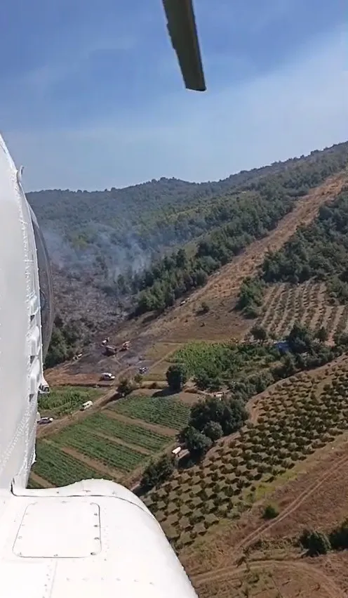 Bursa'da anız ateşi ormana sıçradı: Ekipler alevlerle mücadele ediyor