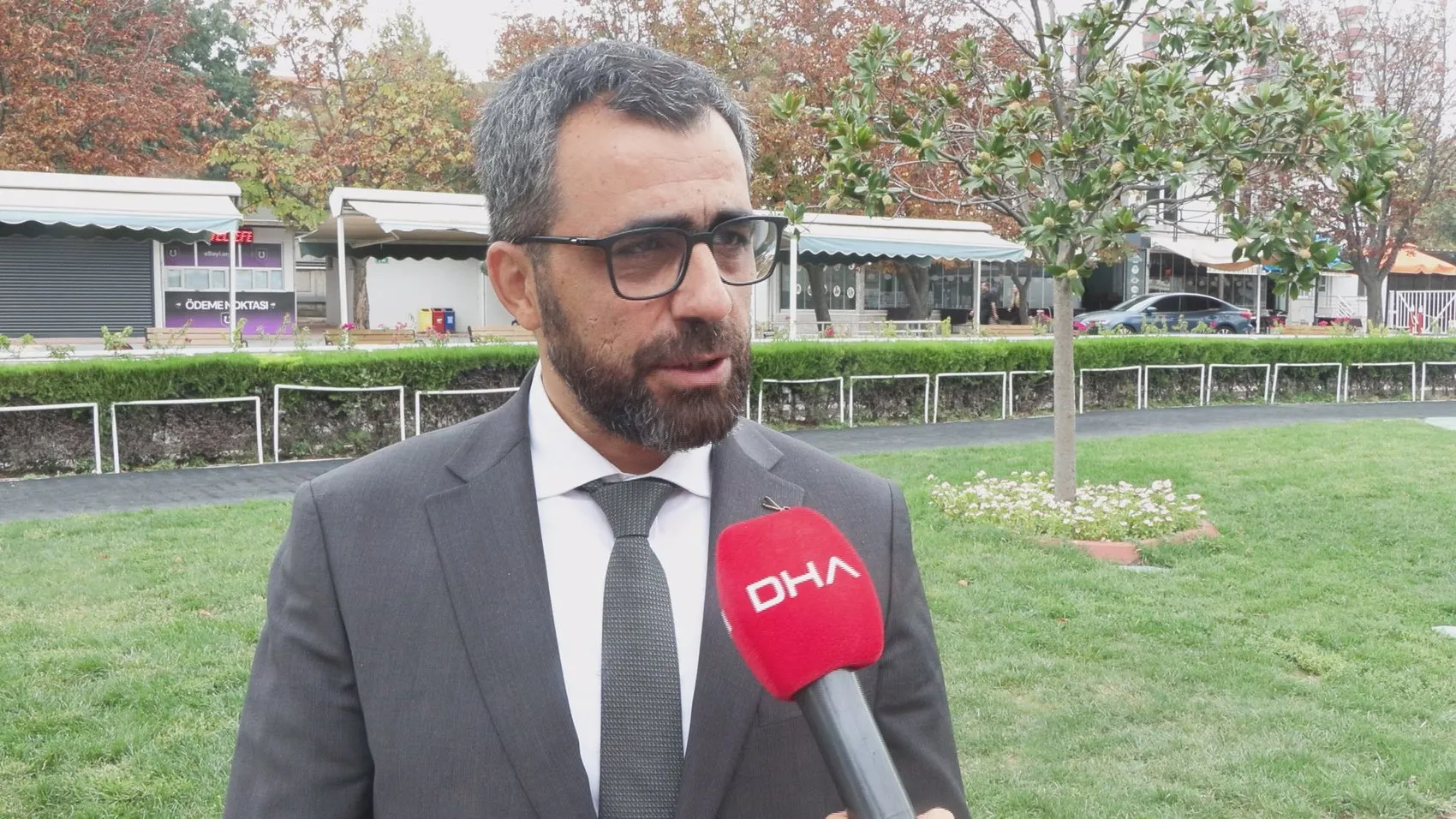 Veliefendi'de milyonluk rekabet: Safkan Arap tayları için kesenin ağzı açıldı