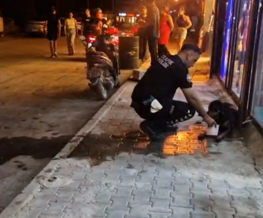 Samandağ'da vicdanları sızlatan olay: Polis ekipleri yaralı köpeği yalnız bırakmadı