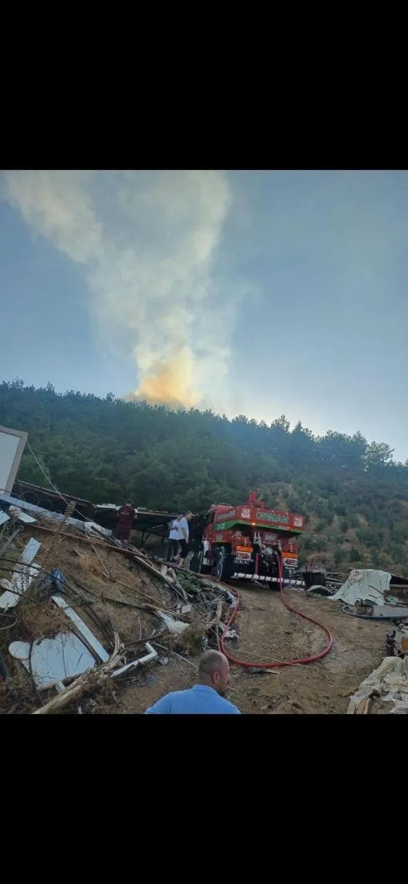 Hassa'da ormanlık alanda korkutan dumanlar: Ekipler zamanla yarıştı