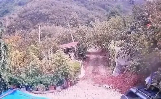 Akçakoca'da korku dolu anlar: Bahçedeki köpeği saniyeler içinde kaptı