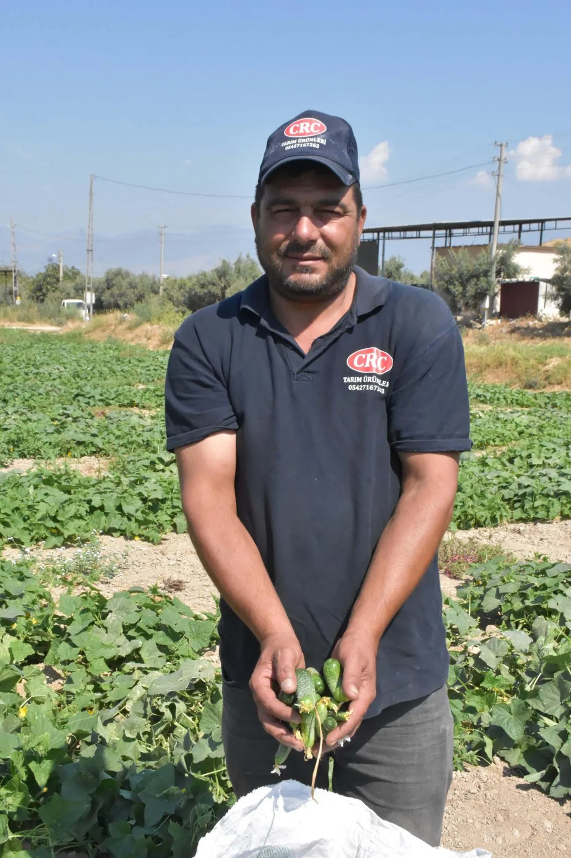 Ödemiş tarlalarında hummalı mesai: Güz bereketi sofralara taşınıyor