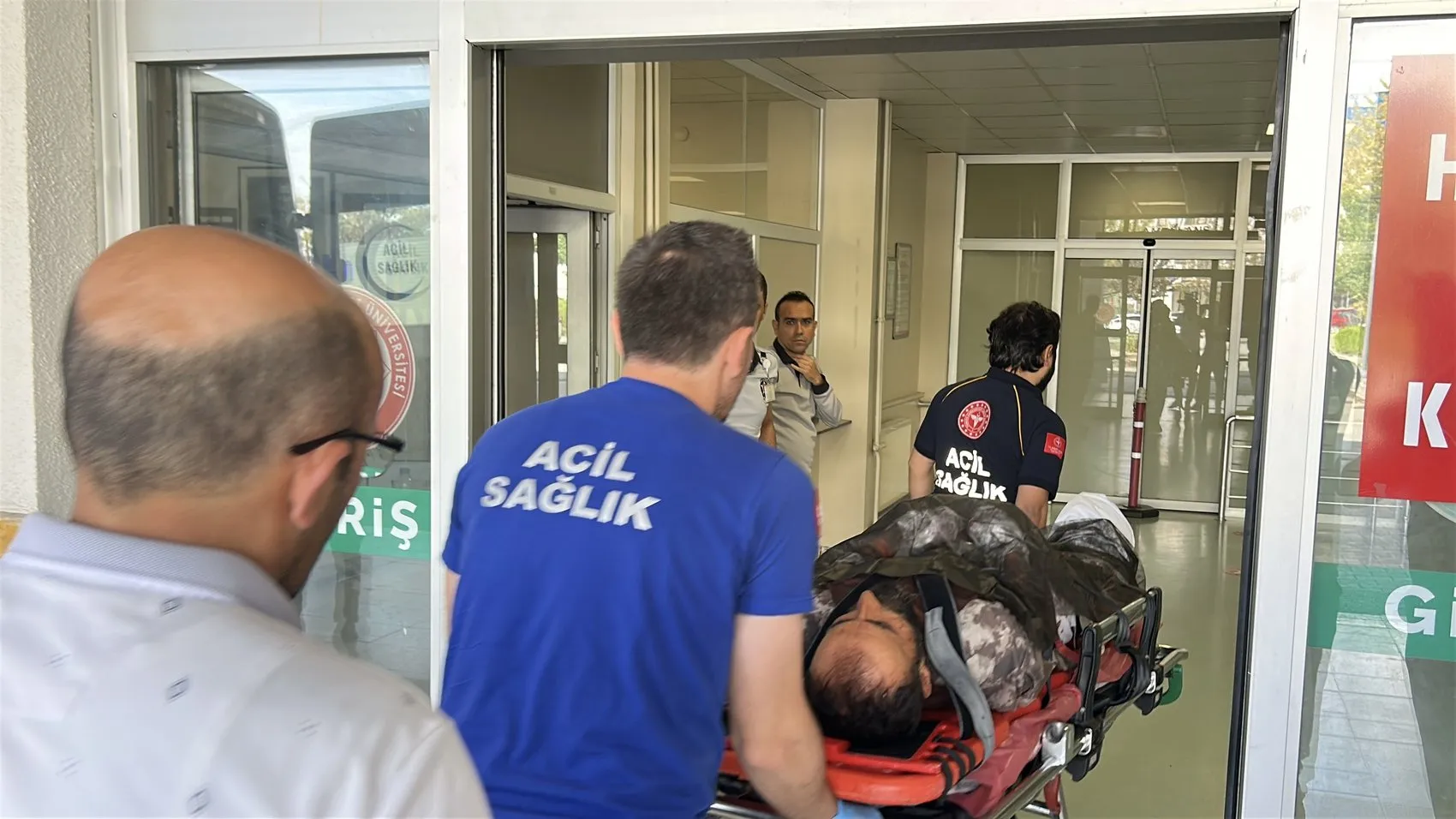 Sivas'ta dehşet anları: Yaylada otlayan hayvanların arasında ayı dehşeti yaşandı